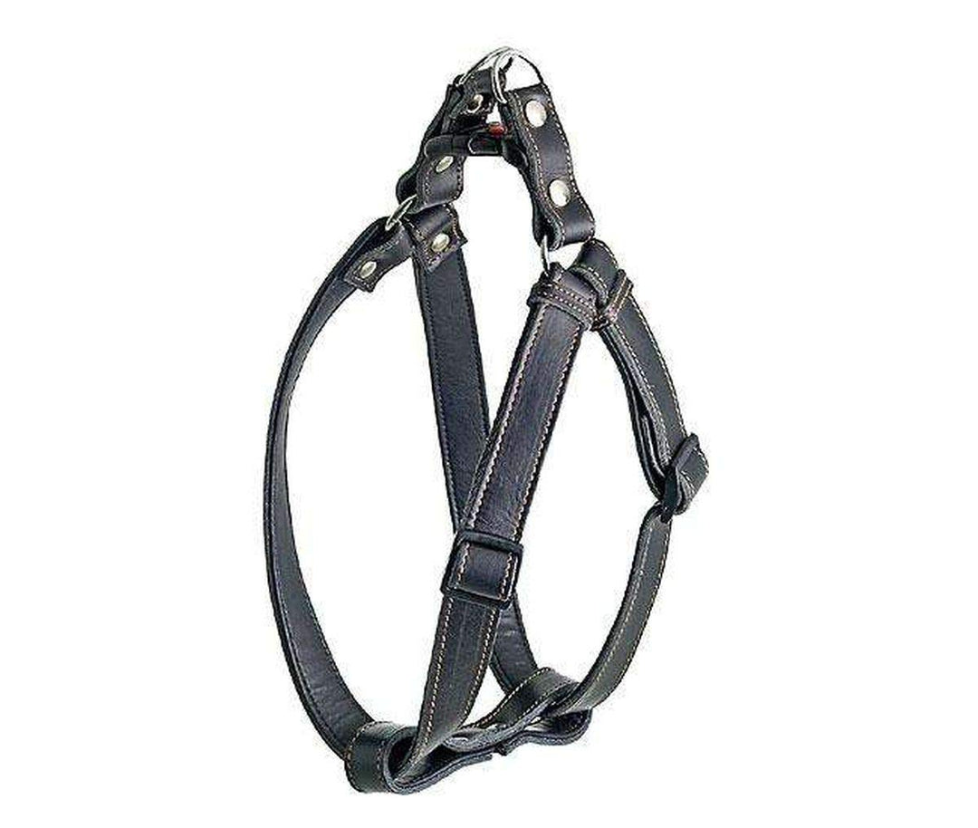Karlie Geschirr Rondo Step and Go B: 20 mm schwarz