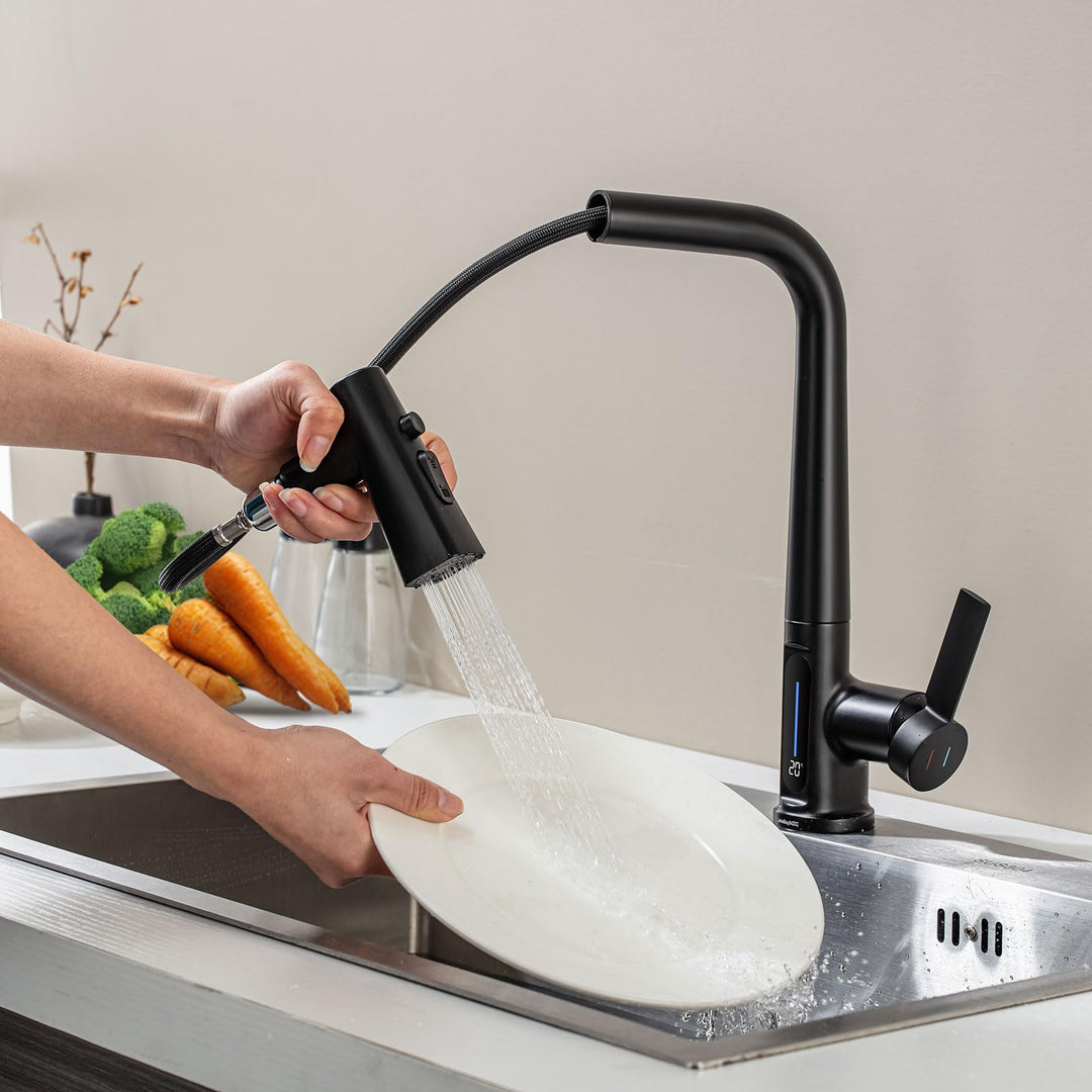 Wasserhahn Küche Mit Brause Ausziehbar,Küchenarmatur 360°Schwenkbar Spültischarmatur LED Temperatura