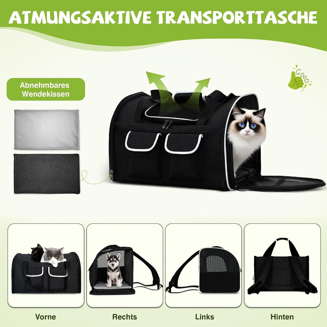 ALLSOPETS Faltbarer Katzenrucksack für grosse Katzen &amp; kleine Hunde, Atmungsaktive Hundetragetasche