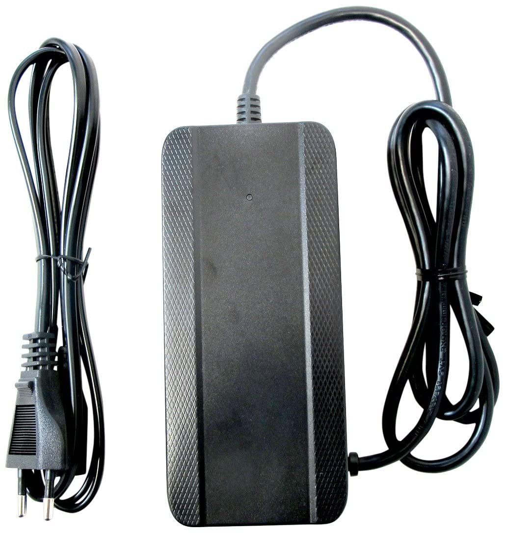 Enerpower LBC015420040 Ladegerät Li-Ion 42V 4A 170 Watt DC Rundstecker 5,5 x 2,1 mm