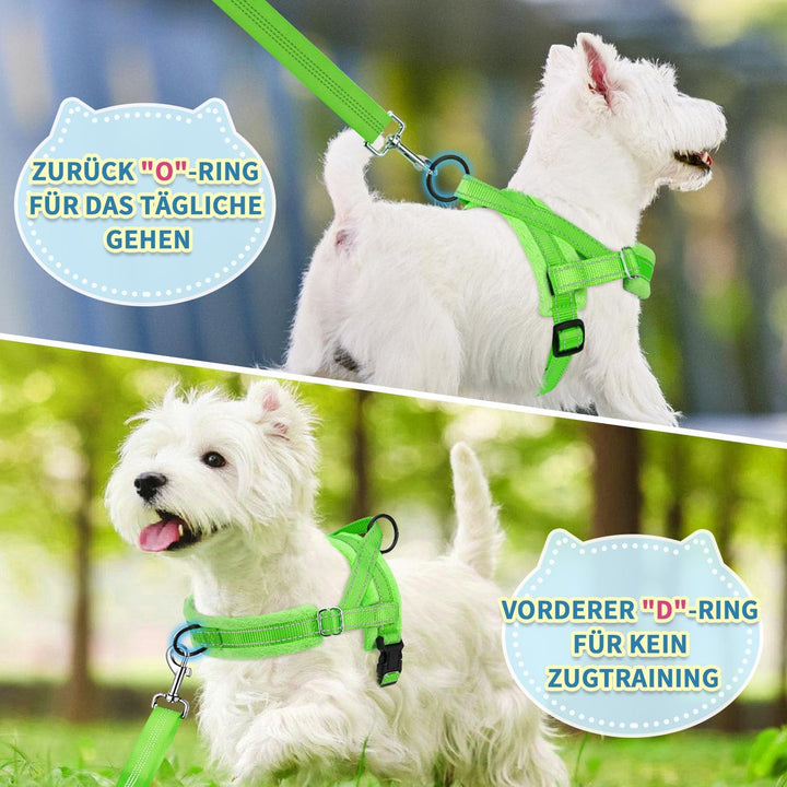 Hundegeschirr mit Leine für mittelgrosse Kleine Hunde, Weich gepolsterter No-Pull Brustgeschirr mit