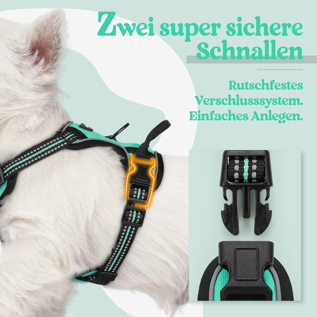 rabbitgoo Hundegeschirr Kleine Hunde, Anti Zug Geschirr mit Kontrolle, No Pull Verstellbar Hundegesc