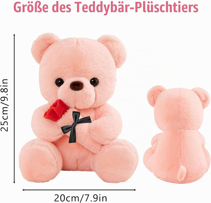 Teddybär mit Rose, Hochzeitstag Geschenke für Frauen, 25cm Rosa Plüschtier Süsse Kuscheltier Teddy m
