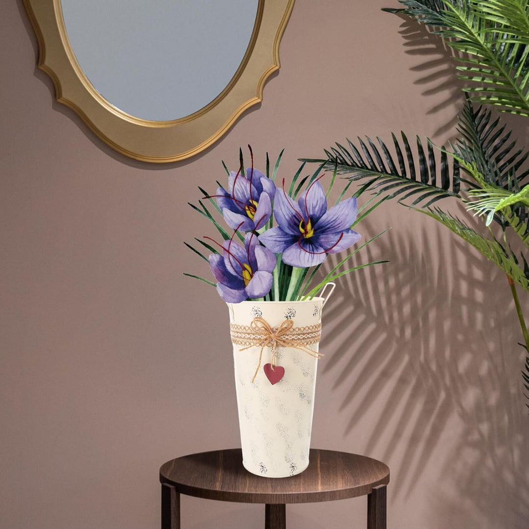 BESTonZON Vintage Blumeneimer Eisen Blumentopf Rustikal Blumenvase Dekovase Retro Metallvase französ