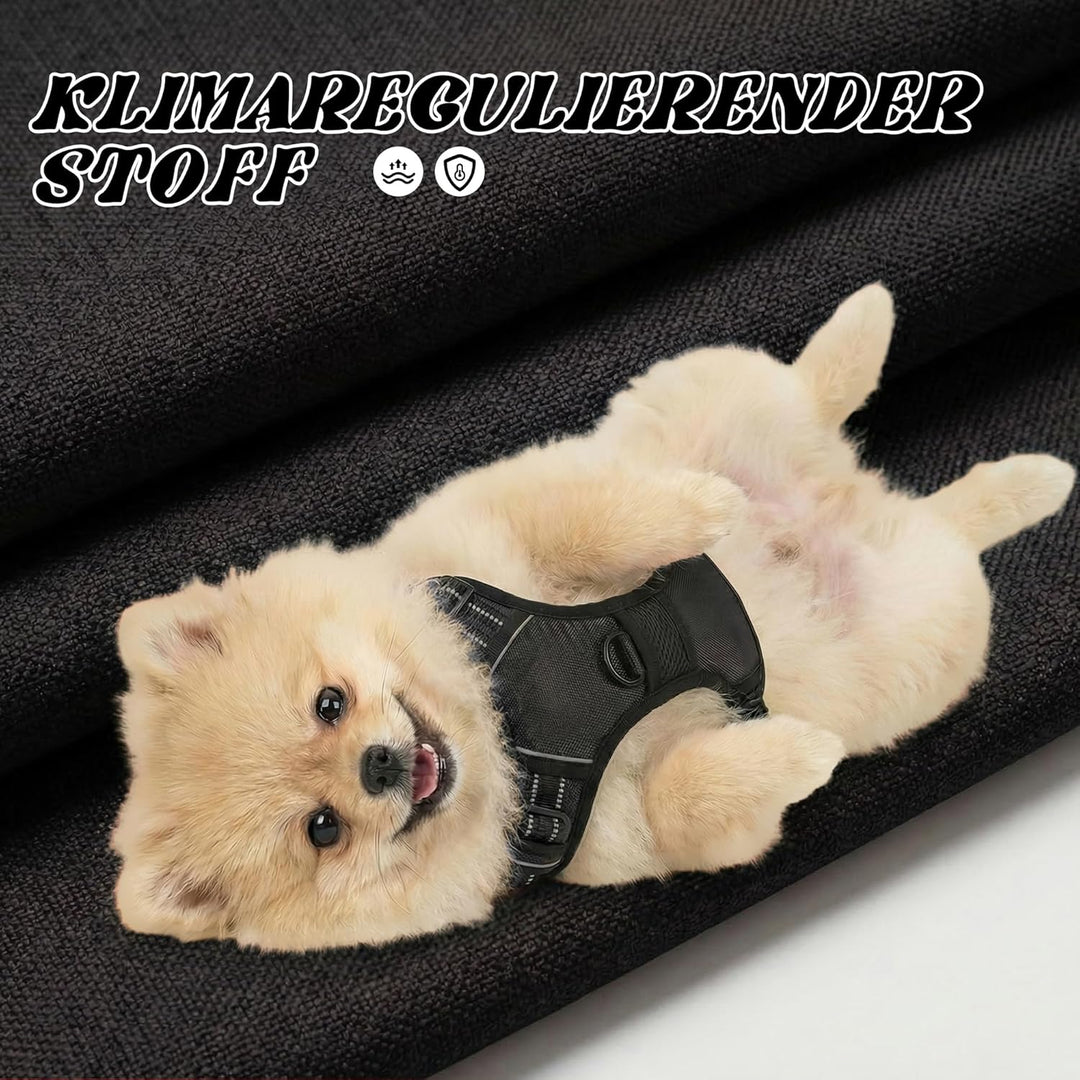 Funfox Hundegeschirr Kleine Hunde, Anti Zug Brustgeschirr Verstellbares Welpengeschirr, Antiziehgesc