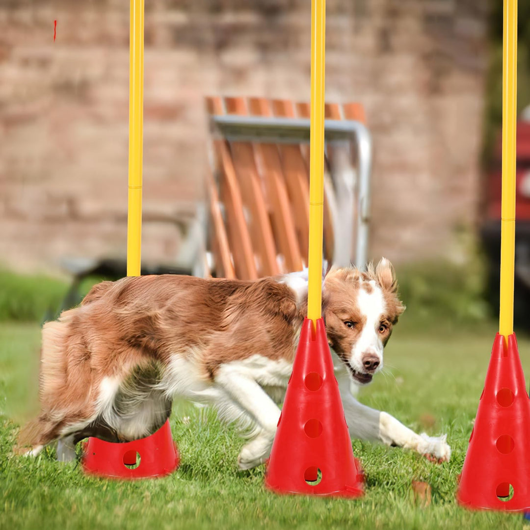Steckhürdenset 12 Kegel mit 6 Stangen, Agility Hürden Steckhürden Set, Koordinationstraining für Kin