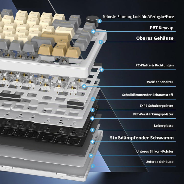 SOLIDEE Verkabelte Mechanische Gaming Tastatur 75 Prozent, Hot-Swap-Fähig Mit Gasket Struktur, RGB H