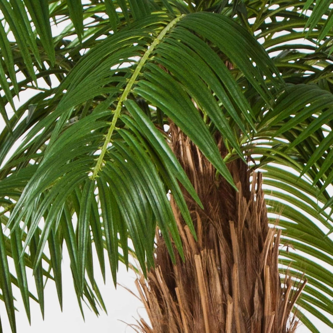 artplants.de Künstliche Phönixpalme, Deluxe, 225cm - hochwertige Kunstpalme - Künstliche Palme