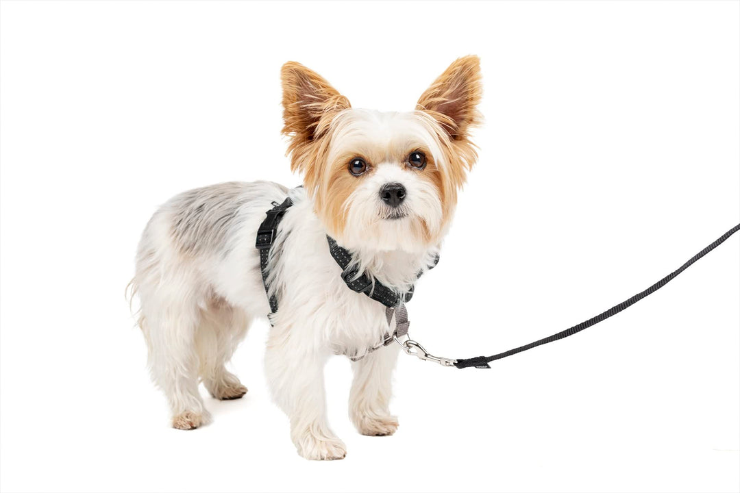 PetSafe 3-in-1 Geschirr, Hundegeschirr mit Rückhaltegurt, Reduziert Ziehen und Druck auf die Kehle,