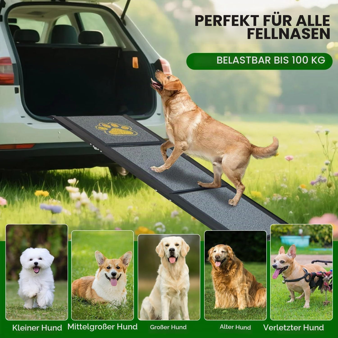 Hunderampe Auto Klappbar 170 x 44 cm Grau, mit Rutschfester Teppichoberfläche, bis 70 kg, Leicht Alu