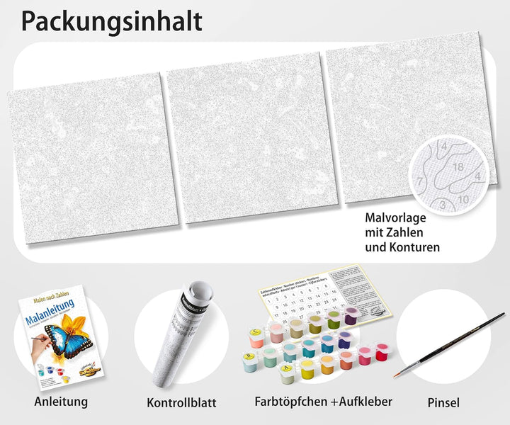 Schipper 609470916 Malen nach Zahlen, Buddha - Bilder malen für Erwachsene, inklusive Pinsel und Acr