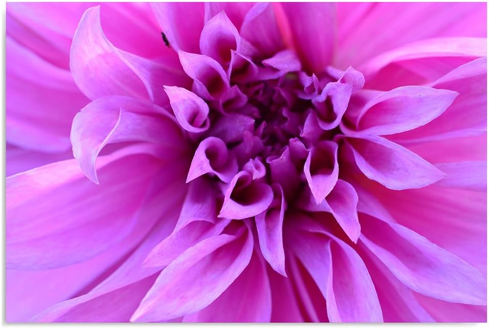 Feeby. Wandbild - 1 Teilig - 80x120 cm, Leinwand Bild Leinwandbilder Bilder Wandbilder Kunstdruck, B