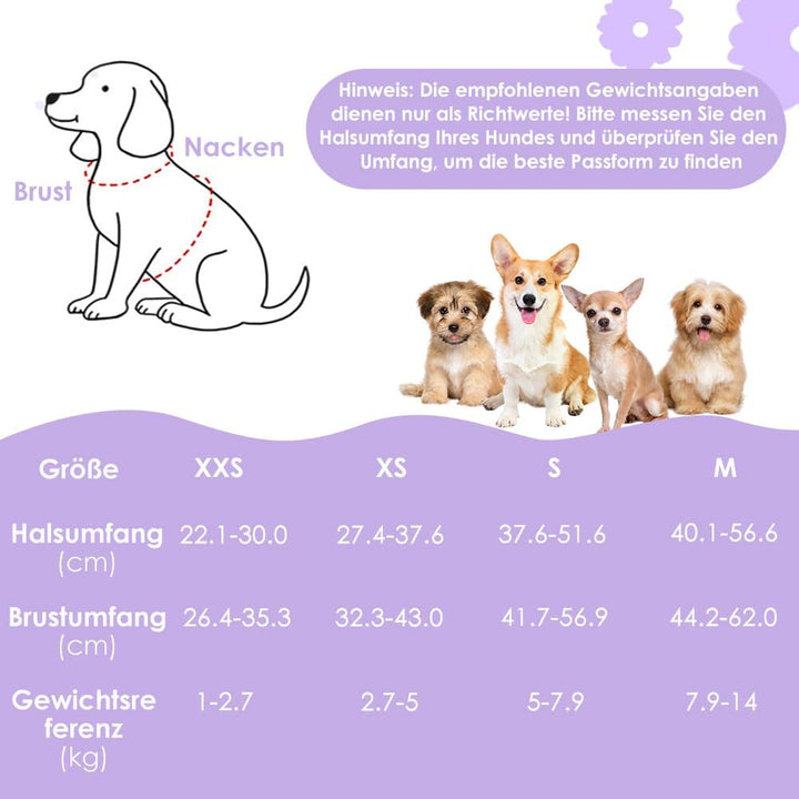 Eyein Hundegeschirr Kleine Hunde mit Leine, Atmungsaktiv Air Mesh Brustgeschirrmit reflektierenden S
