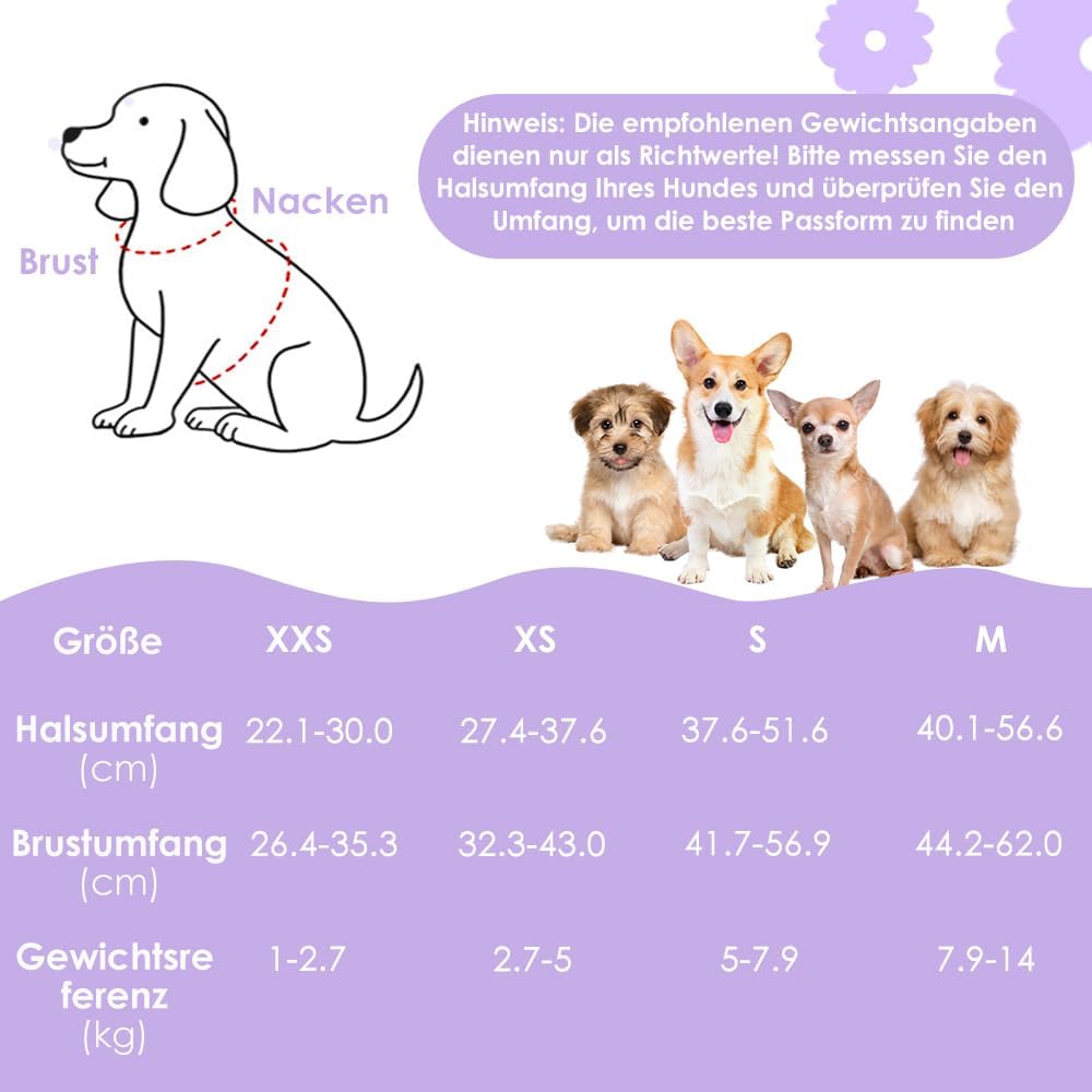 Eyein Hundegeschirr Kleine Hunde mit Leine, Atmungsaktiv Air Mesh Brustgeschirr mit reflektierenden