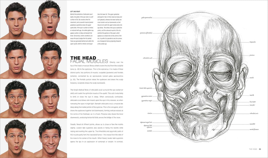 Anatomy for the Artist, Gebundenes Buch