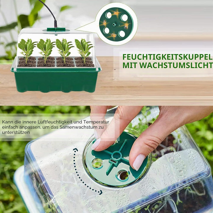 Mini Gewächshaus mit Licht, Anzucht Gewächshaus, Sonnenähnliche Pflanzenlichter mit vollem Spektrum,