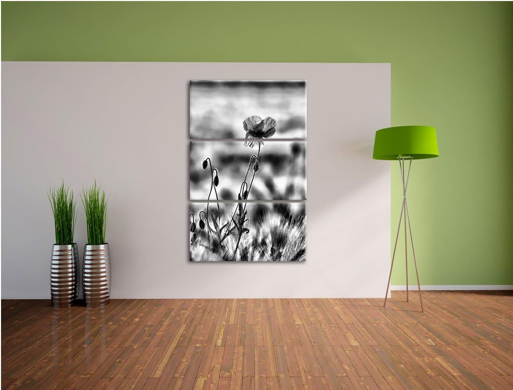 Pixxprint Blumen im Feld Tulpen als Leinwandbild/Grösse: 3 Teilig (120x80) cm/Wandbild/Kunstdruck/fe