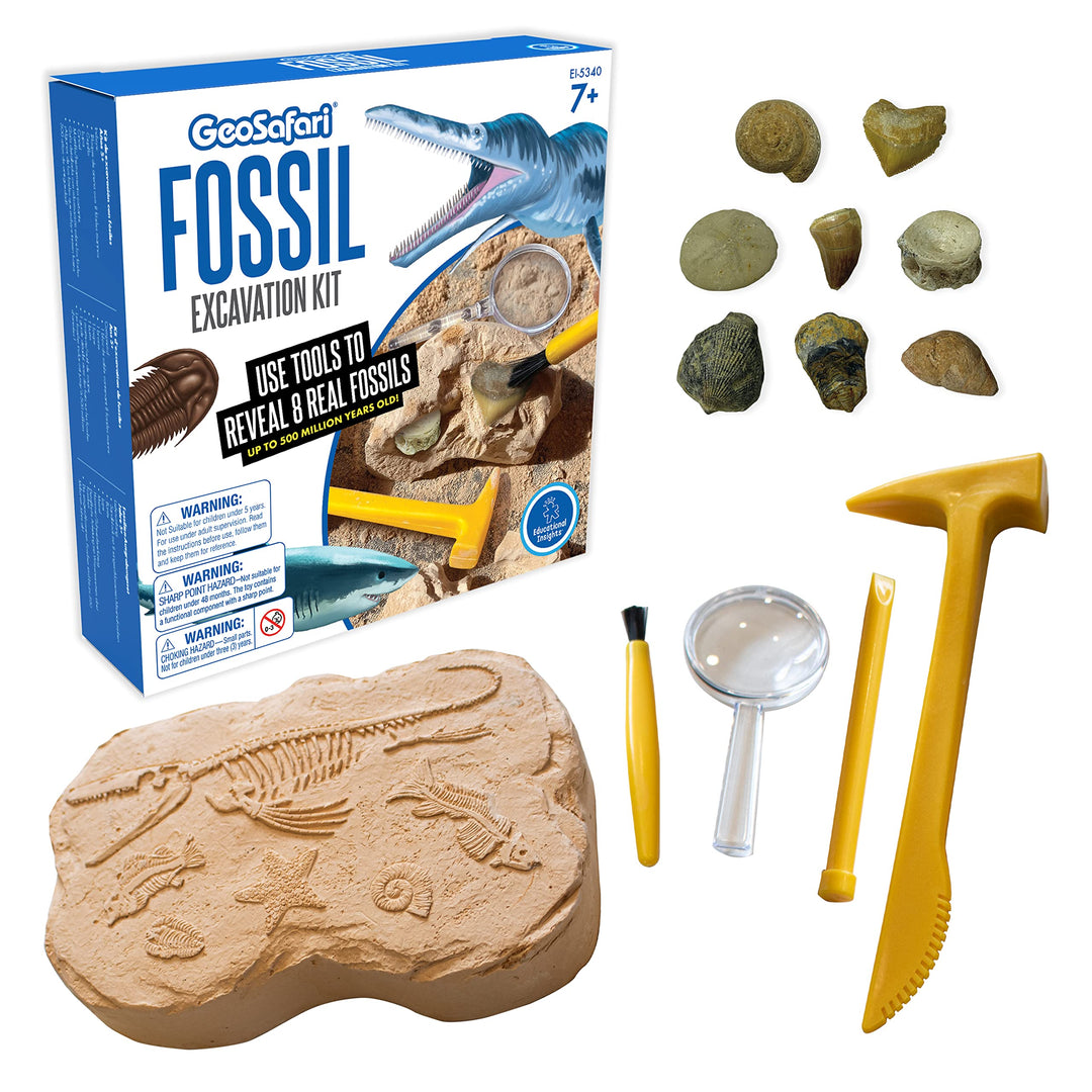 Learning Resources GeoSafari Fossilien-Ausgrabungsset