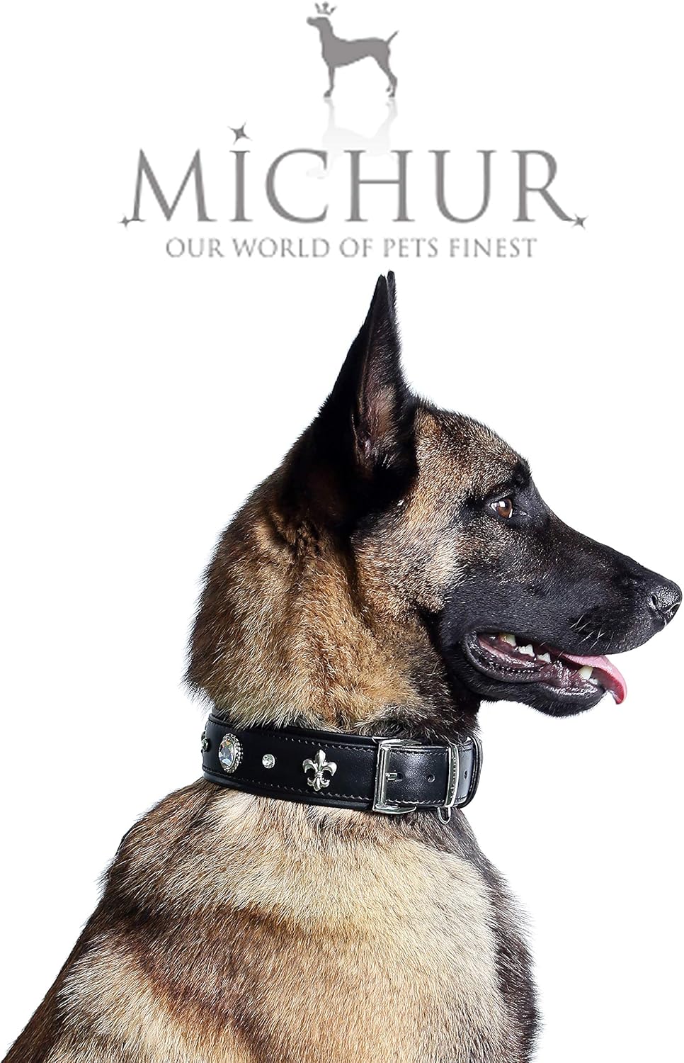 MICHUR Gala Leine, Hundeleine Leder, Lederleine Hund, PASSEND ZUM Halsband Gala, Schwarz, Leder, mit