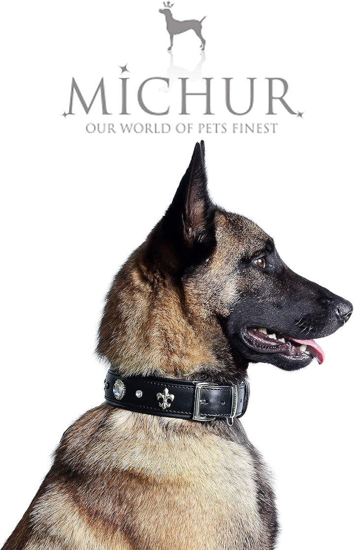 MICHUR Gala Leine, Hundeleine Leder, Lederleine Hund, PASSEND ZUM Halsband Gala, Schwarz, Leder, mit