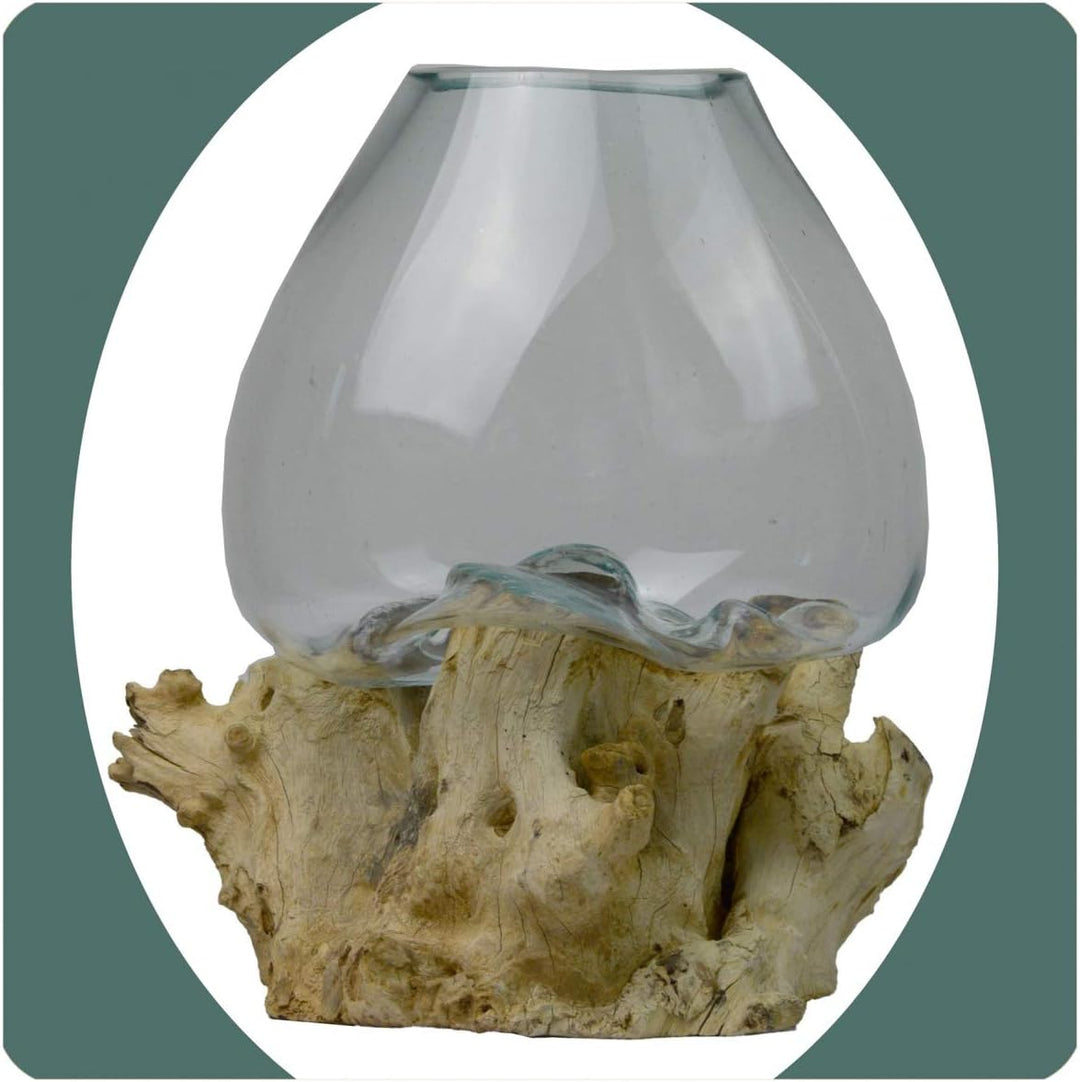 Wurzelholz Glas-Vase Wurzel-Vase Deko-Glas Kaffeewurzel Holz Design Blumenvase extra gross
