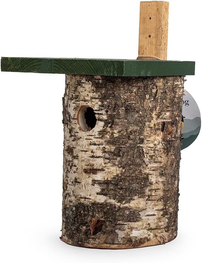 CJ Wildlife Nistkasten – Vogelnistkasten für draussen – Birke FSC® 100% – 32 mm Einflug – für Kohlme