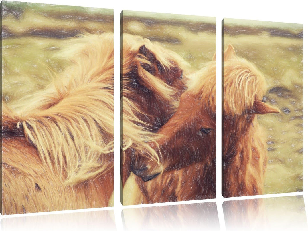 Pixxprint Islandpferde Pony als Leinwandbild 3 teilig/Grösse: 3 Teilig (120x80) / Wandbild/Kunstdruc