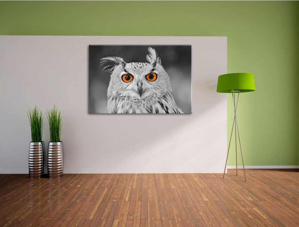 süsser Eulen Kauz schwarz/weiss Format: 100x70 auf Leinwand, XXL riesige Bilder fertig gerahmt mit K