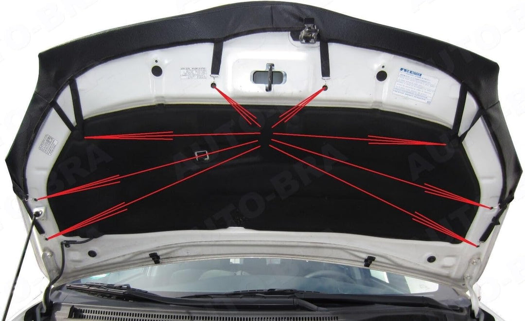 AB3-00388 CARBON OPTIK Auto Bra kompatibel mit Toyota PRIUS Bj. 2009-2016 Haubenbra Steinschlagschut