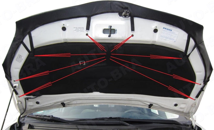 AB3-00388 CARBON OPTIK Auto Bra kompatibel mit Toyota PRIUS Bj. 2009-2016 Haubenbra Steinschlagschut