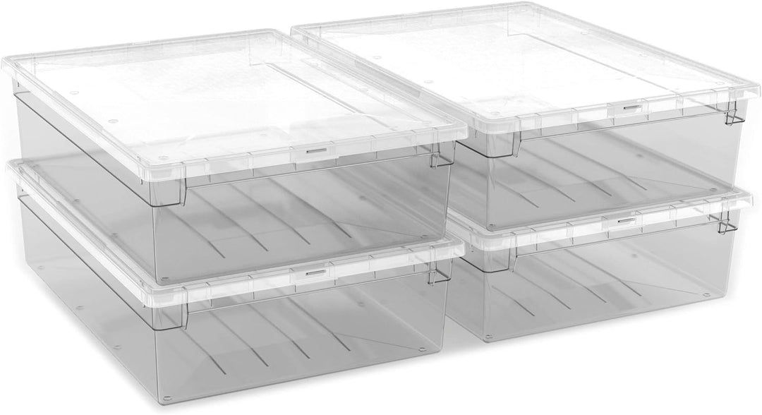 TERRY 4PZ Light Box 52 XL Vorratsdosen Set mit Deckel, Kunststoff, durchsichtig, 4 Unità, 4 mit Deck