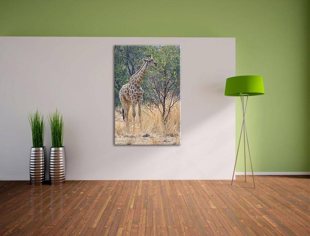 Pixxprint Giraffe beim Fressen auf Leinwand, XXL riesige Bilder fertig gerahmt mit Keilrahmen, Kunst