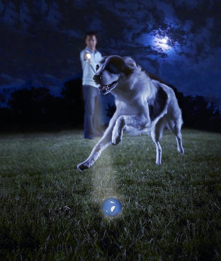 Chuckit CU33062 Ballwerfer PRO LX, Startgerät geliefert mit 1 Fetch Ball für Hunde