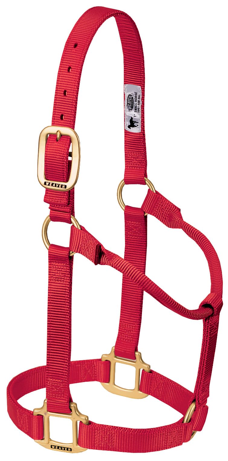 WEAVER Leather, Nicht verstellbares Halfter Rot/Ausflug, einfarbig (Getaway Solids) Weanling/Pony, R
