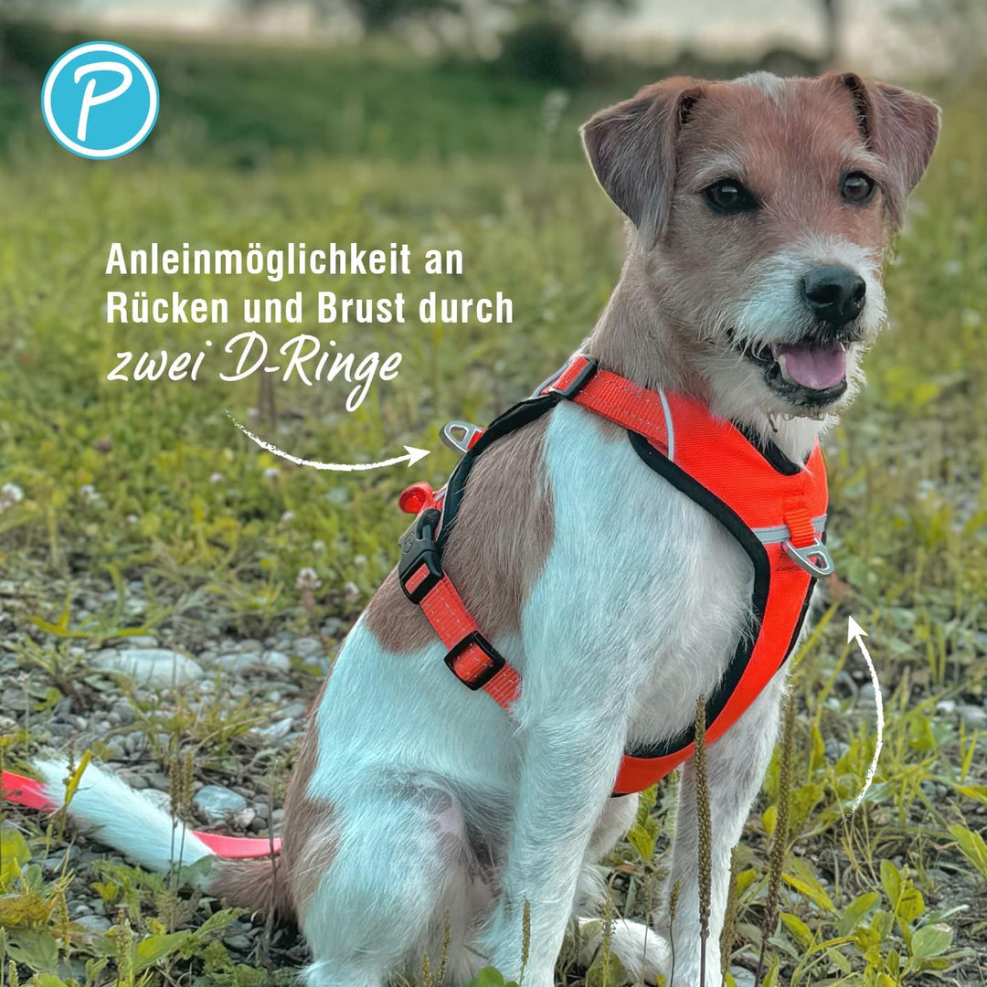 Petlando Hundegeschirr Outdoor – stark reflektierend, gepolstert, atmungsaktiv, robust, stufenlos ve