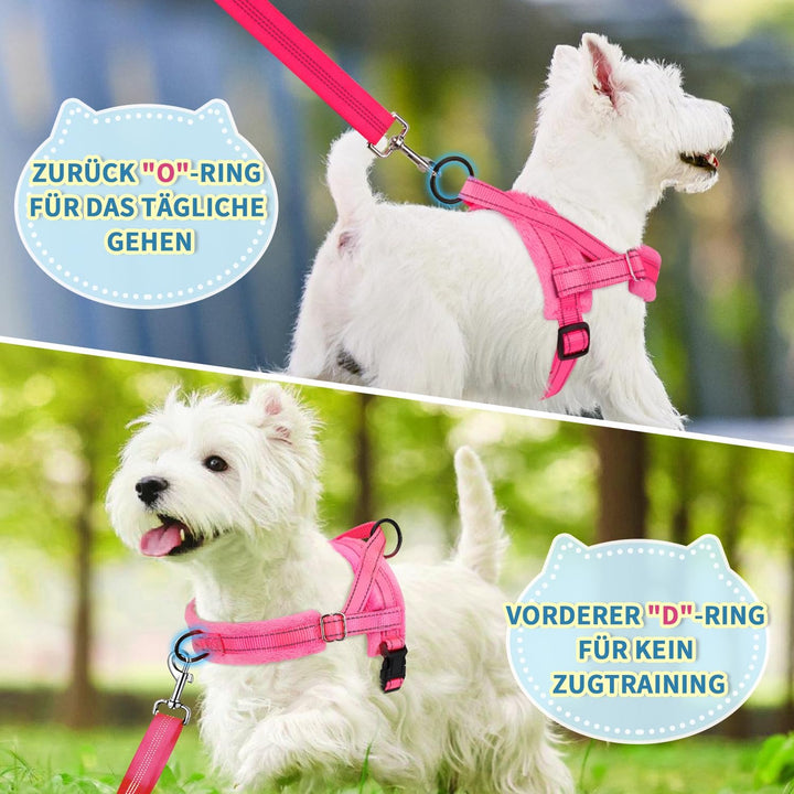 Hundegeschirr mit Leine für mittelgrosse Kleine Hunde, Weich gepolsterter No-Pull Brustgeschirr mit