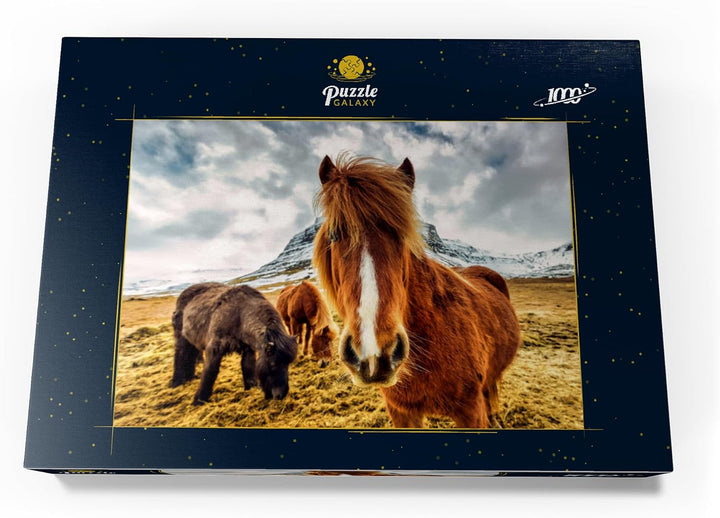Pferde in den Bergen von Island - Premium 1000 Teile Puzzle - MyPuzzle Sonderkollektion von Puzzle G