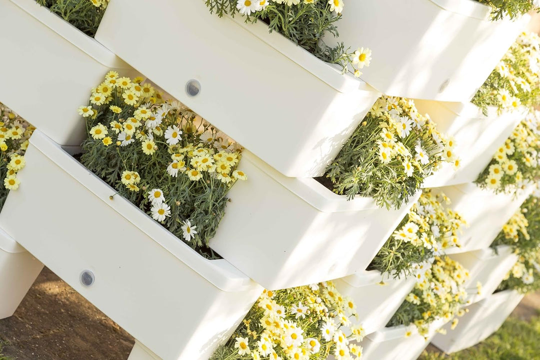 Bama Nässestop S18 Garten Modular Brick Pflanzgefässe, 59 x 23 x 27 cm Cremefarben, Cremefarben