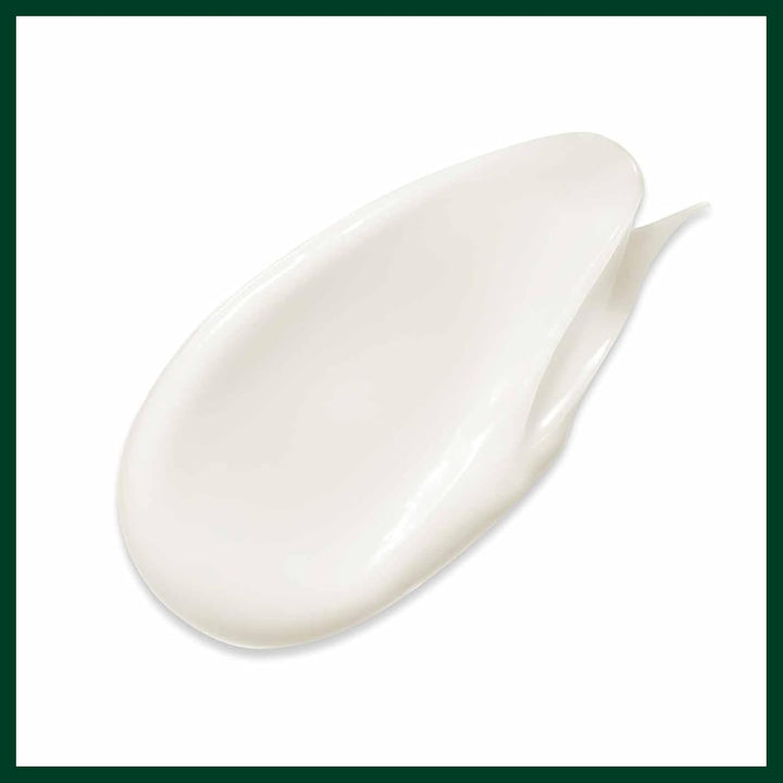 AVEDA Botanical Repair Strengthening Conditioner, 1000 ml