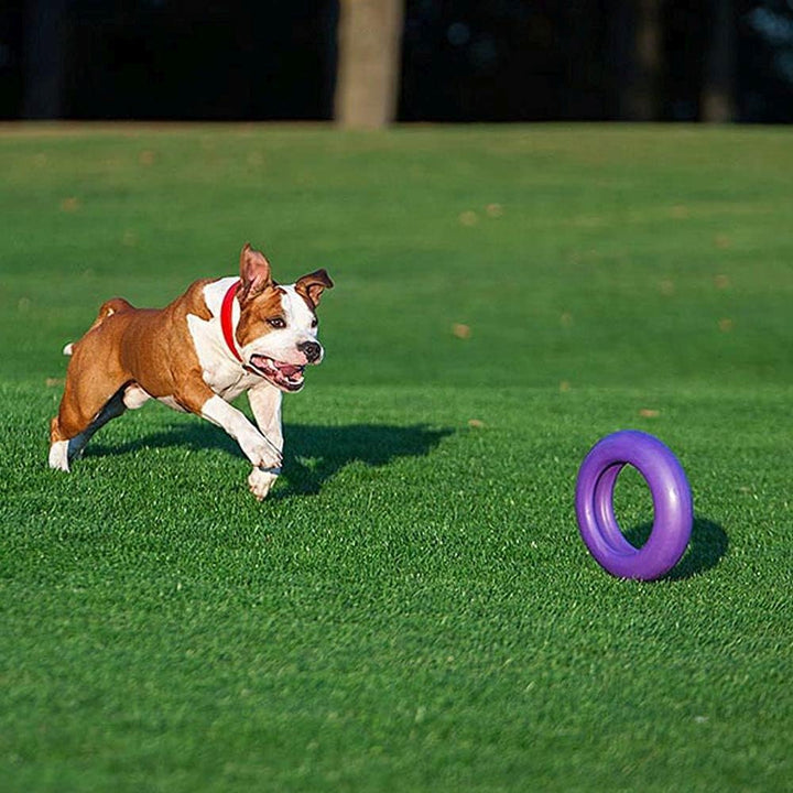Gioco Interattivo per Cani Grandi PULLER MAXI 1 Anello, Addestramento, Corsa, Salto, Tiro, Spring Po