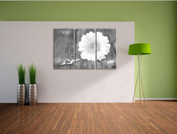 Pixxprint Gerbera auf Boden / 3-Teilig/Gesamtmass 120cm Leinwandbild bespannt auf Holzrahmen/Wandbil