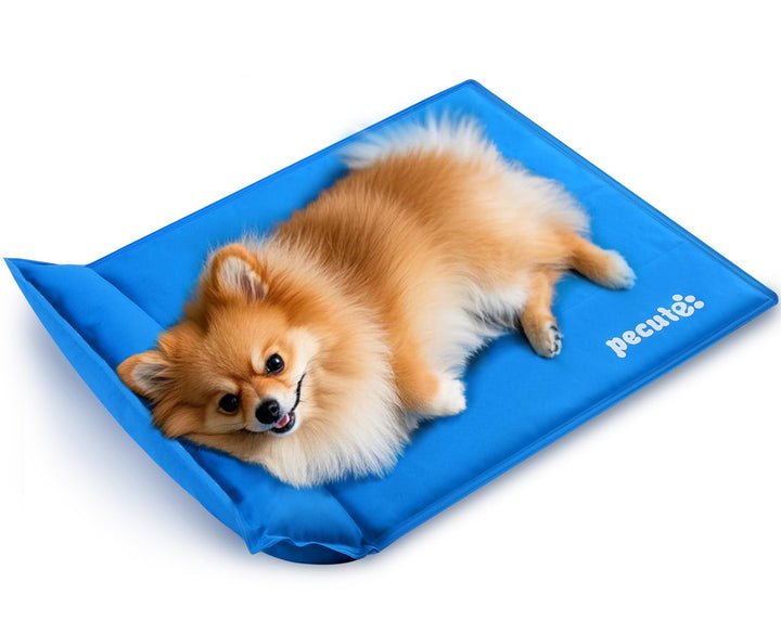 pecute Kühlmatte mit Kissen Hunde Katzen (65 * 50cm), Kuhlmatte für Hund und Katze mit Ungiftiges Ge