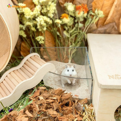 Niteangel Hamster Wüstenbad Sand | Staubfreier Badesand oder Streusand für Hamster, Chinchillas, Ger