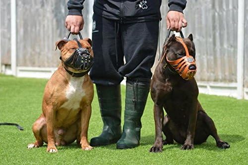Bestia Maximus Leder Maulkorb. Einzigartiges Desing und Qualität XXL- Molosser, Saint Bernard Braun