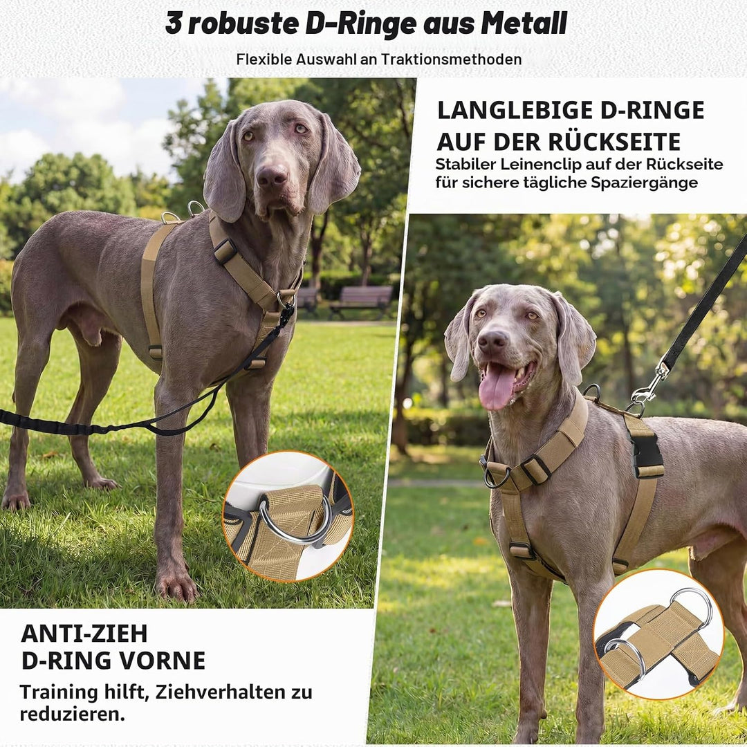 Hundegeschirr Mittelgrosse Grosse Hunde, Anti Zug Brustgeschirr Verstellbar mit Front Clip, Taktisch