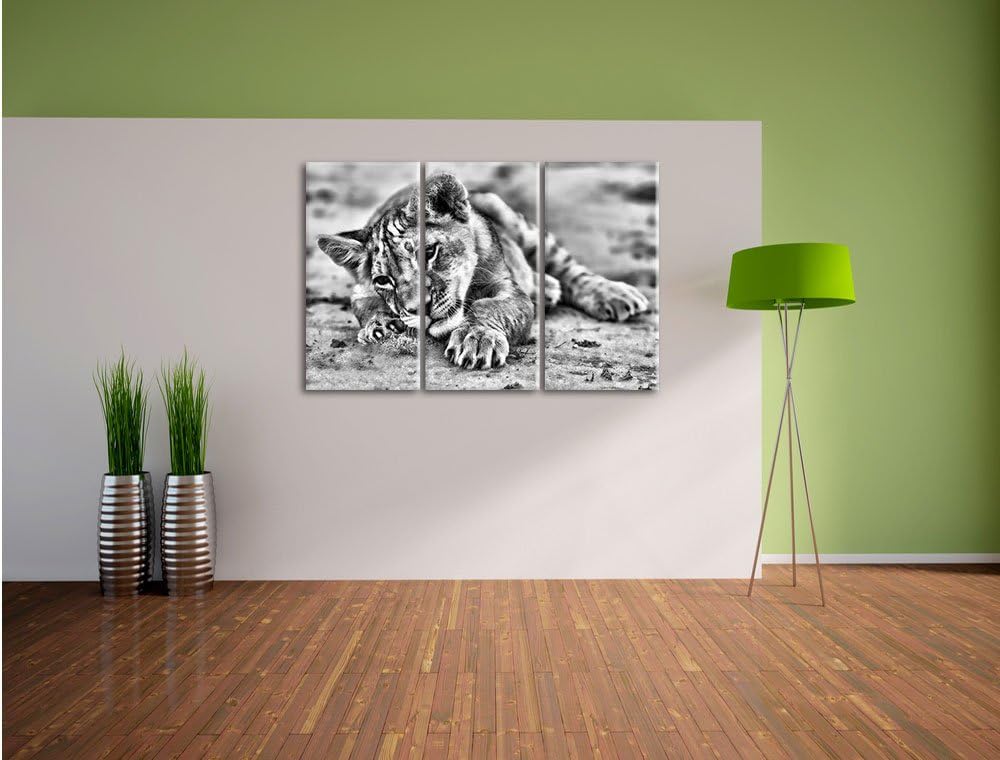 Pixxprint Löwenbaby spielt als Leinwandbild | Grösse: 3 Teilig (120x80) | Wandbild| Kunstdruck | fer