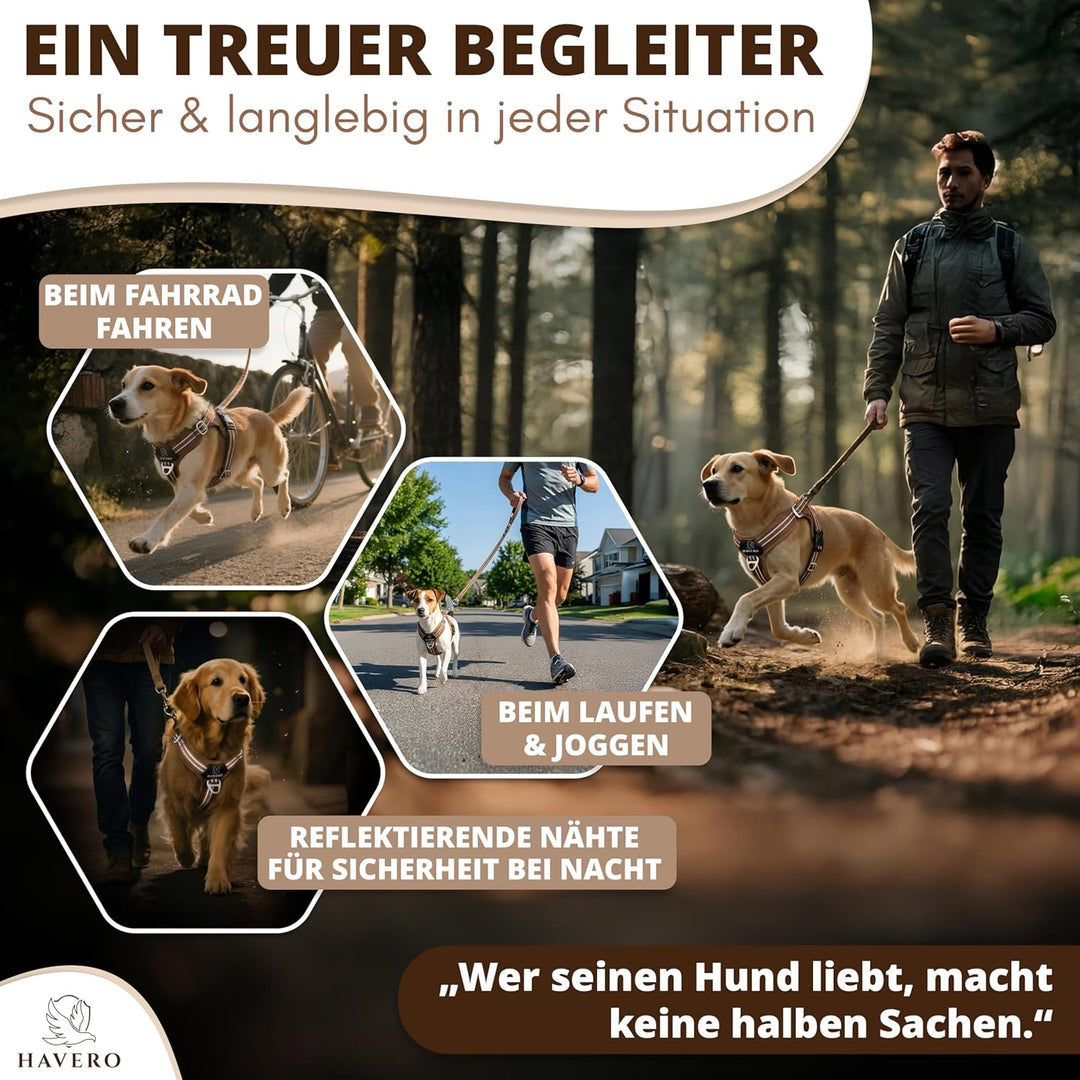 Hundegeschirr Easy-On-Clip – [Kein Überkopfziehen] | Anti-Zug Y-Geschirr Gepolstert Reflektierend At