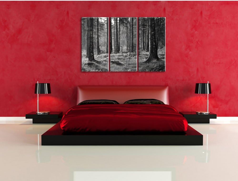 Pixxprint sonniger Tag im Wald / 3-Teilig/Gesamtmass 120cm Leinwandbild bespannt auf Holzrahmen/Wand