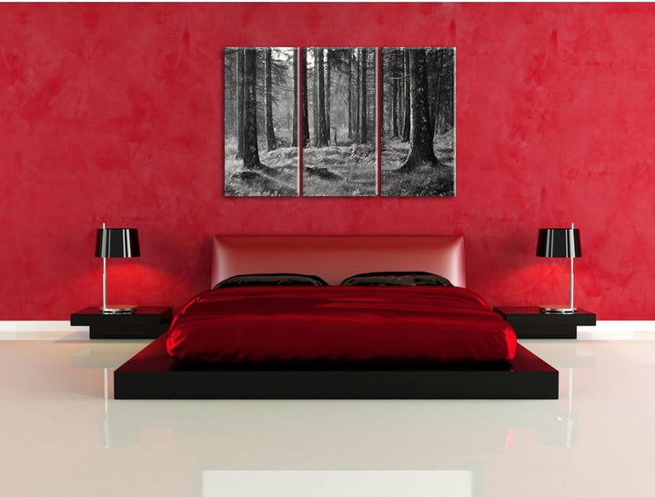 Pixxprint sonniger Tag im Wald / 3-Teilig/Gesamtmass 120cm Leinwandbild bespannt auf Holzrahmen/Wand