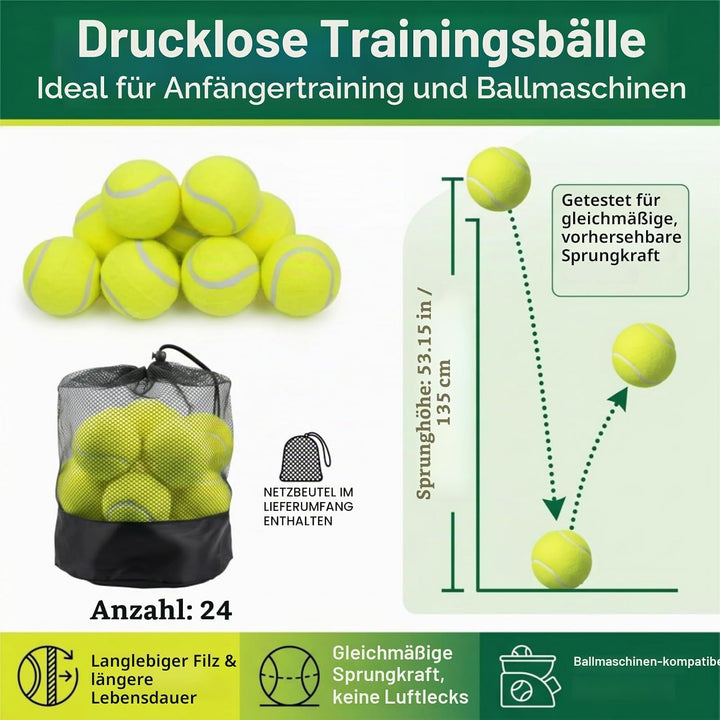Tebery 20 Stück Tennisbälle mit Mesh-Tragetasche, Tennis Training Übungsbälle Hundespielzeug Spielbä